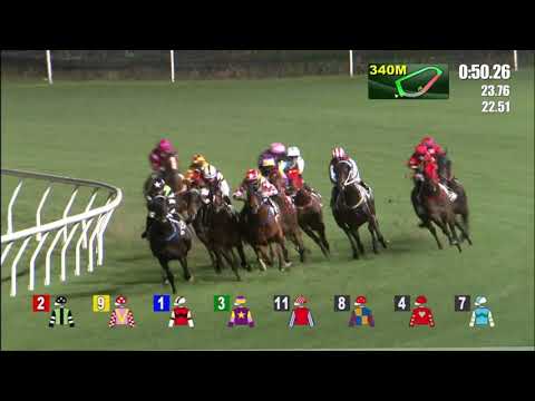 10/3/2021 (493) Stock Legend - J Moreira