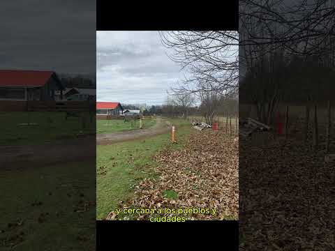 $28.000.000 5.000M2 4TA FAJA, GORBEA. ENVÍE SU OFERTA Y RESPONDEREMOS A LA BREVEDAD +56992188211