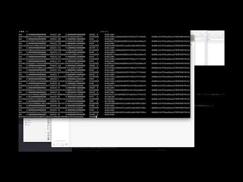 TrueBlocks on dAppNode
