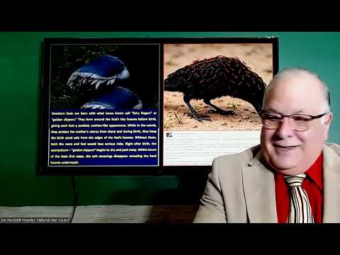 How the Mighty have fallen