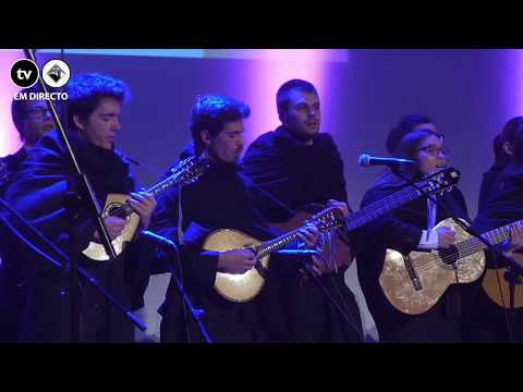 VicenTuna - Fado Moliceiro (IV BOTICÁRIOS)