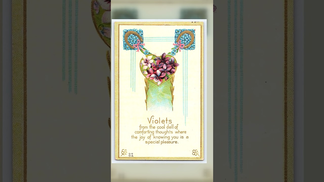 E. Nash Divided Back Postcard, Violets Design, Early 1900s, Postmarked 1910 Video