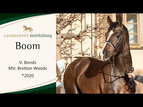 BOOM v. Bonds - Bretton Woods 2023