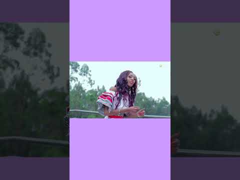 Meti Haile Dibaba_#Akkam Ta'uree new #Afaan oromoo music//#Ethiopian #oromoo new music #Shorts