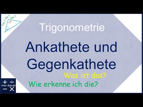 Trigonometrie: Grundlagen Teil 1 - Ankathete und Gegenkathete