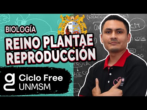 BIOLOGIA - Reino Plantae: Reproducción [CICLO FREE]