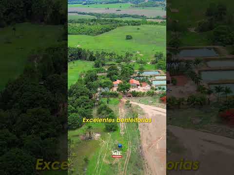 Fazenda à venda na Região de Edéia (GO) - 33 alqueires = 158,4 hectares #agro #fazendaavenda