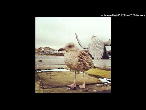 Dapayk & Padberg-Cheesy Beezy