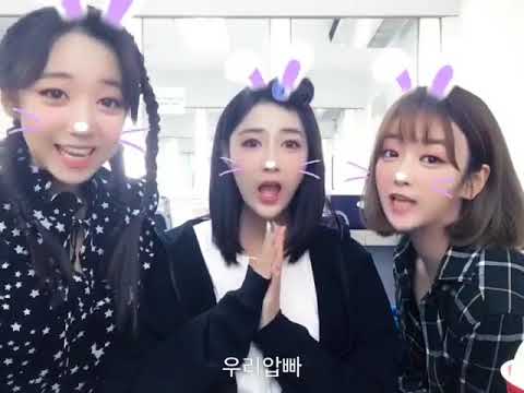 171104 Apink Hayoung instagram