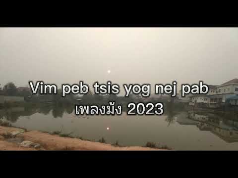 VIM PEB TSIS YOG NEJ PAB