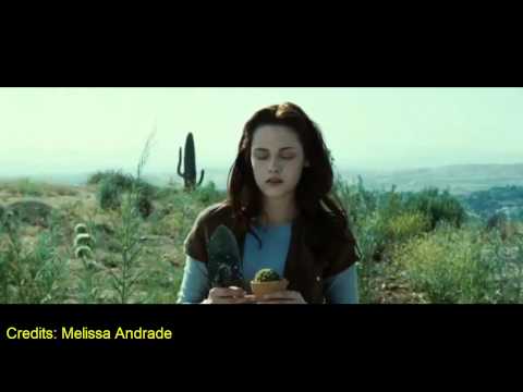 Twilight - Present Perfect