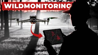 SO lernst du Wildmonitoring mit der Drohne – Schritt für Schritt erklärt!