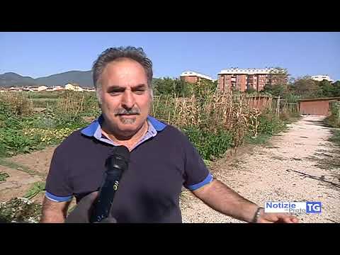 2019-08-19 PRATO - LADRI IN AZIONE NEGLI ORTI URBANI DI VIACCIA