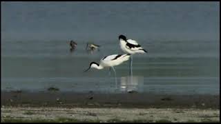 TERMÉSZETVÉDELMI KÖRKÉP