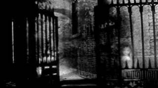 ▓▓ einstuerzende neubauten - der kuss ▓▓