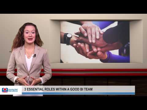 3 Essential Roles Within a Good BI Team