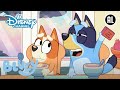 Bluey | ? De Eindeloze Schaal Roomijs | Disney Channel NL
