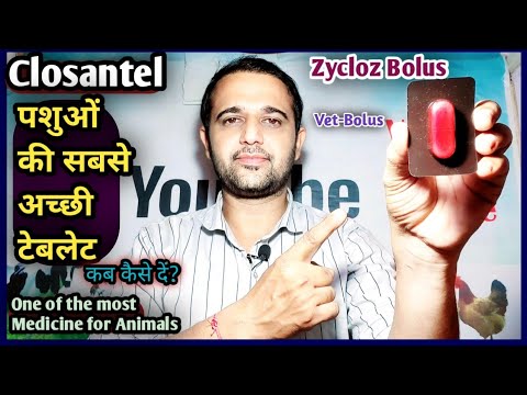 Zycloz/Closantel Bolus-Vet|| आंतरिक/बाहरी परजीवी नाशक||One of the best Medicine for all Animals
