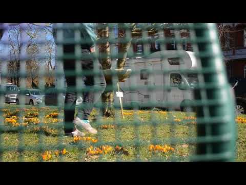 Rainer Lebemann entdeckt die Stadt: Das Goldene Waschbecken