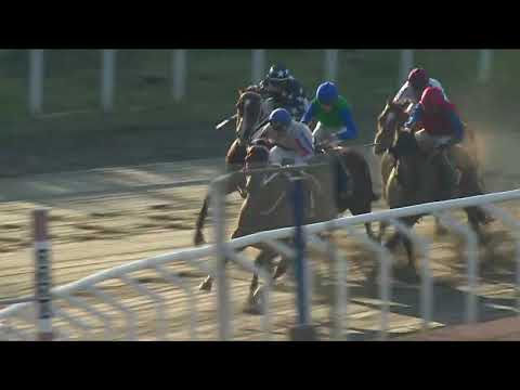 Zawawi Cup (L) 2025 - Aurinko