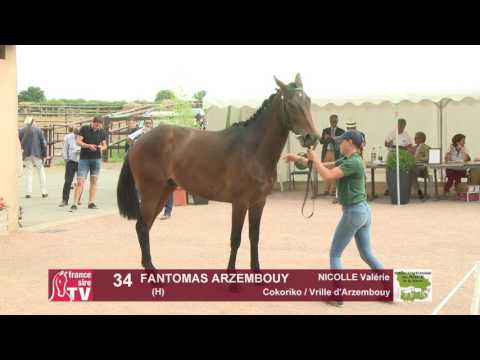 Concours Cercy 2017 - Lot 34 - Fantomas Arzembouy