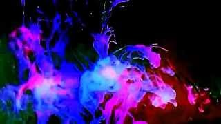 Frank Zappa - Yo Mama Solo, Live - 1981