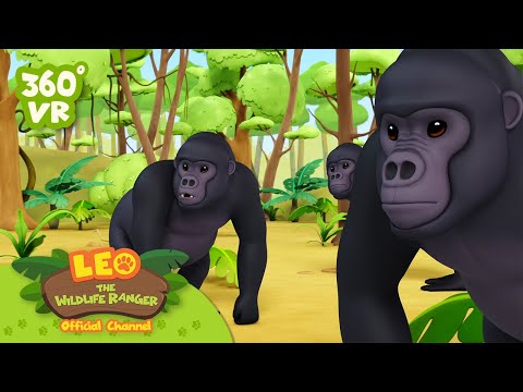 Witness21  2023 05 19