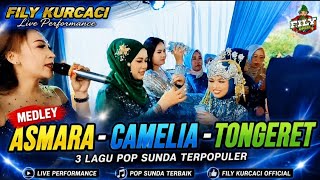 Download lagu MEDLEY. ASMARA - CAMELIA - TONGERET. FILY KURCACI.  mp3
