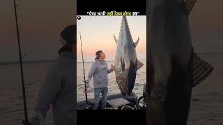 Catch This Fish and Buy a Lamborghini! 😱 #ExpensiveFish #BluefinTuna #fishshorts #amazingfishfacts