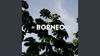 Rayito - Borneo