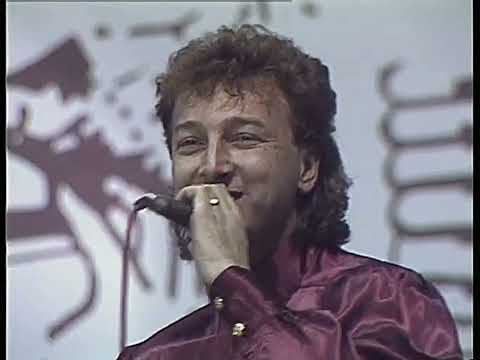 Ljubiša Vasiljević - Ustaj Srbine [Uživo u Ilidži 1994] [Fixed sound]