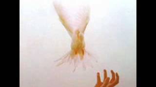 Strawbs - Lay a Little Light on Me - Hero&#39;s Theme