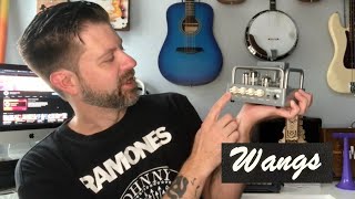 Video thumbnail for Wangs Mini 5 Tube Guitar Head: Unboxing & Demo by Musical Miscellany