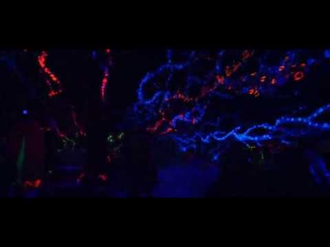 Time traveller with Cesar Mimesis. part 2