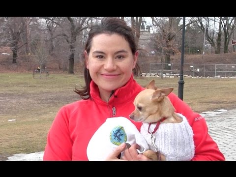 Go Fetch Run! Working Out with Your Dog