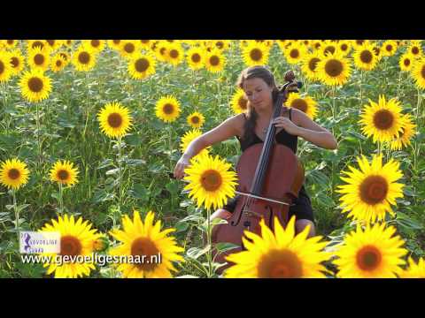 Evelien Fokker - Improvisation - House of Inspiration - YogaCello - De Gevoelige Snaar