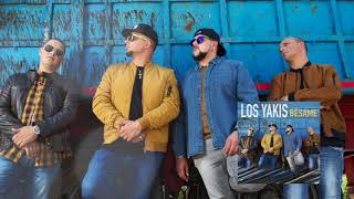 Como El Mar Besa La Arena Lyrics English Translation