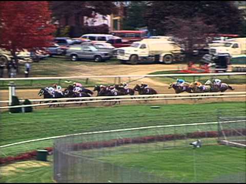 1994 Breeders' Cup Juvenile