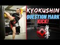 Questionmark Kick | How to throw a Question Mark Kick! Karate for MMA. Questionmark Kick | How to throw a Question Mark Kick! Karate for MMA.