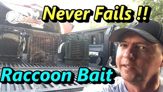 DIY Never Fail Raccoon Bait Easy and Cheap to Make
