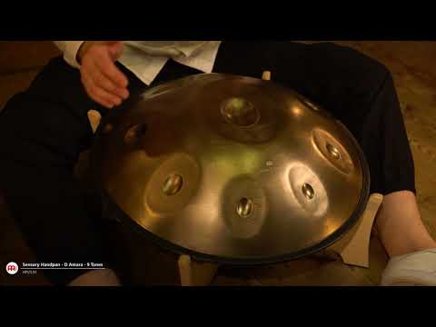 Meinl Sonic Energy - Sensory Handpan, D Amara, D / A C D E F G A C - HPSTL91