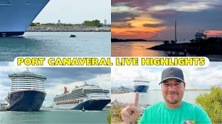 Cruise Ships, Dolphins and Good Times... This Past Weekend at Port Canaveral