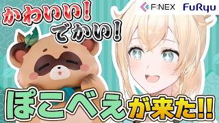 【ついにきた】かわいい！でかい！最強ぽこべぇ来る🍃【風真いろは/ホロライブ】