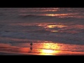Hampton Beach Sunrise Waves Gulls 30 Seconds
