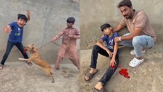 Tali Ke Upar Shahmeer Ne Pitbull Ka Hamla Karva Diya 😱