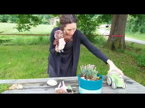 vivant et non vivant