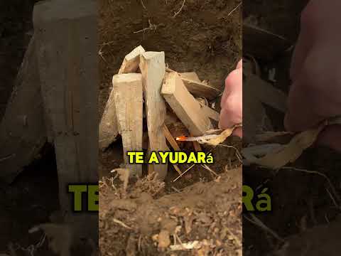 How to survive in the forest with nothing? 😱 #shorts #survival