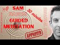 Sam Harris - 30 Minutes Guided Meditation - Binaural Beats #samharris #guidedmeditation #30minutes