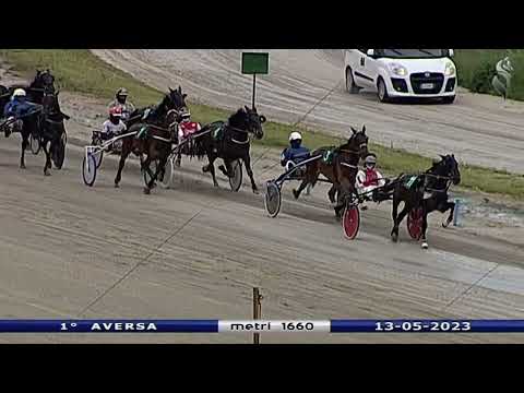 Aversa trotto 13 Maggio 2023 - 1° Corsa