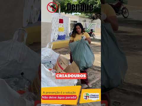 Dia D em combate a dengue na cidade de Cônego Marinho